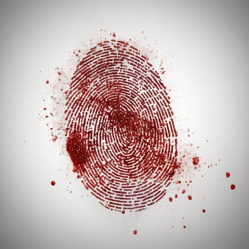 Exploring Crimes & Tragedies