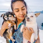 Cin (Blau, Pixel, Margarita y Perla)