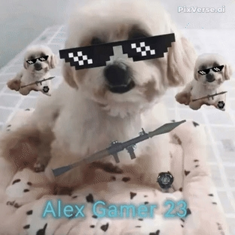 Alex Gamer 23 🐶