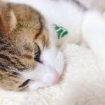 May｜ちょこっといい日