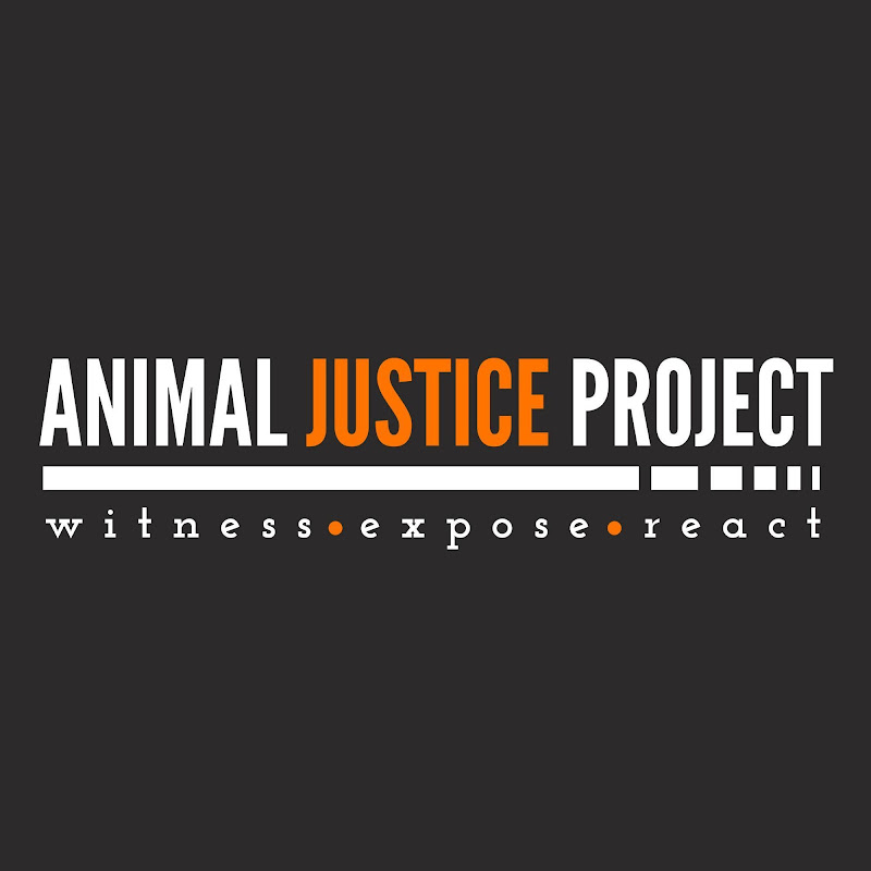 Animal Justice Project