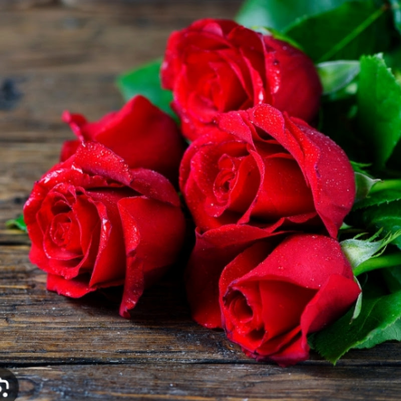 Lifestyle With Sehreen