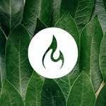 Modo Yoga Vaudreuil