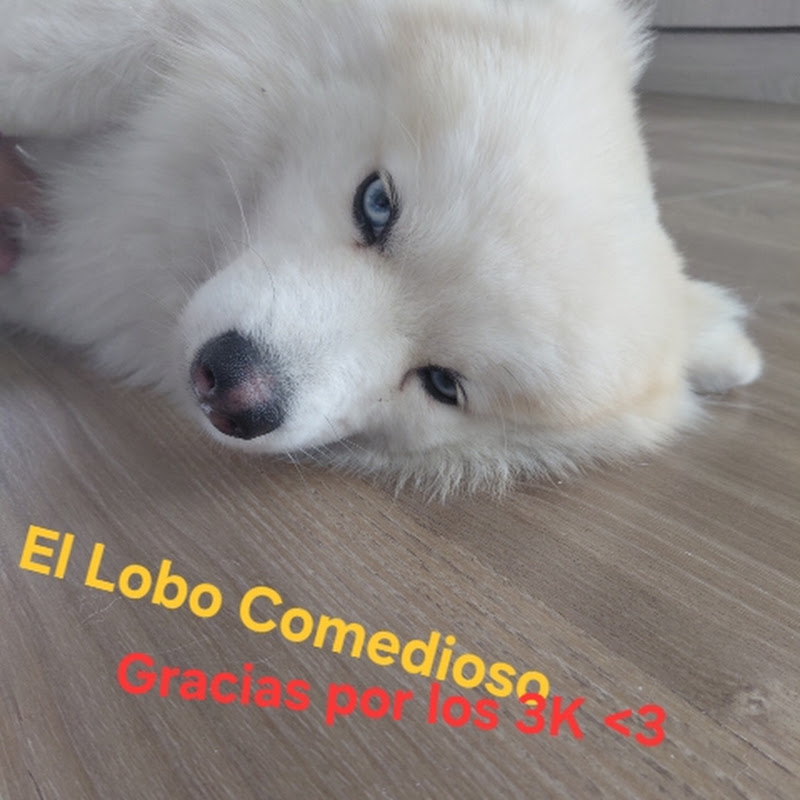 El Lobo Comedioso 👊🐺