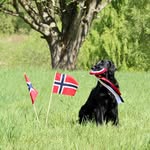 Kennel Kalexas
