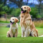 Cooper and Sonny Stewart