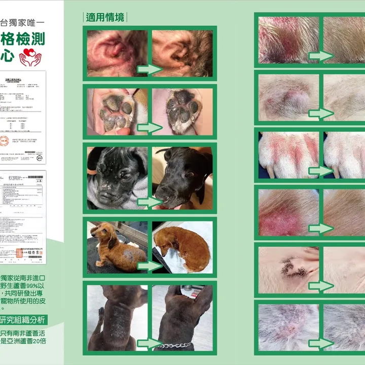 安品國際實業有限公司