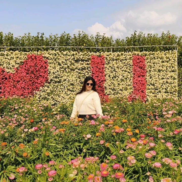 👩‍🦳🌼mayela🇹🇼🇵🇭