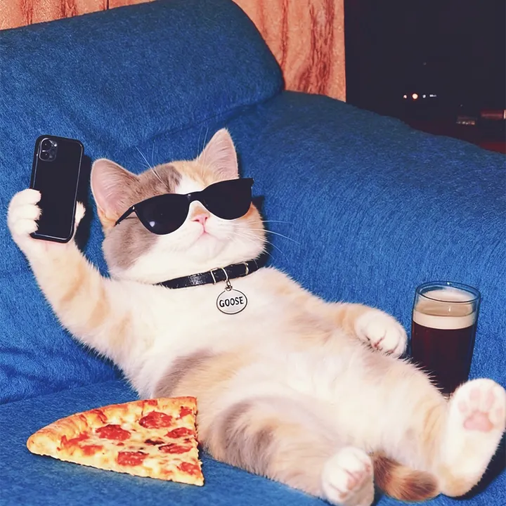 meowster