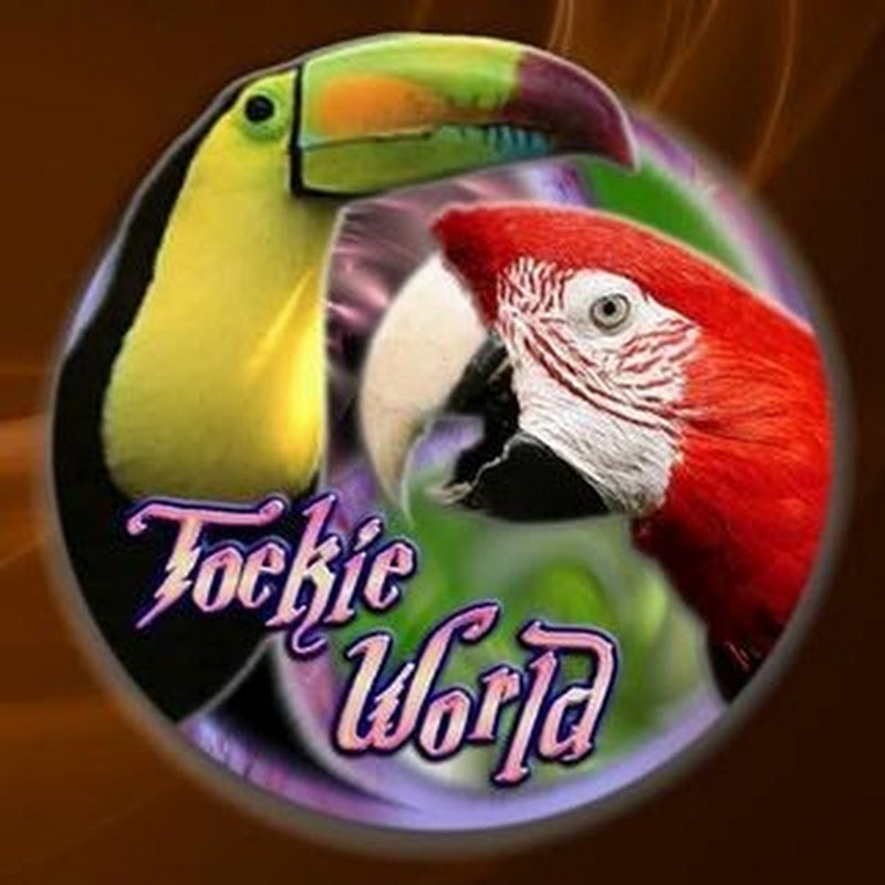 TOEKIE WORLD - Marc - ORCHIDS, AROIDS & more