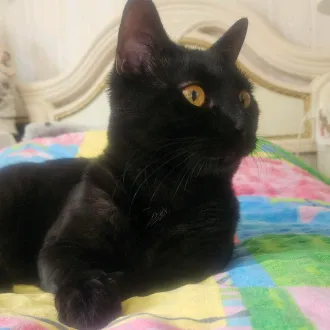 MadridPLRaul28🇵🇱🇸🇪