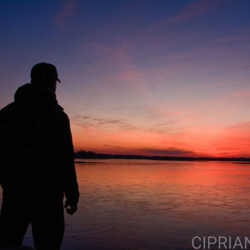 Ciprian Safca Travel, Danube Delta & Delta Dunării