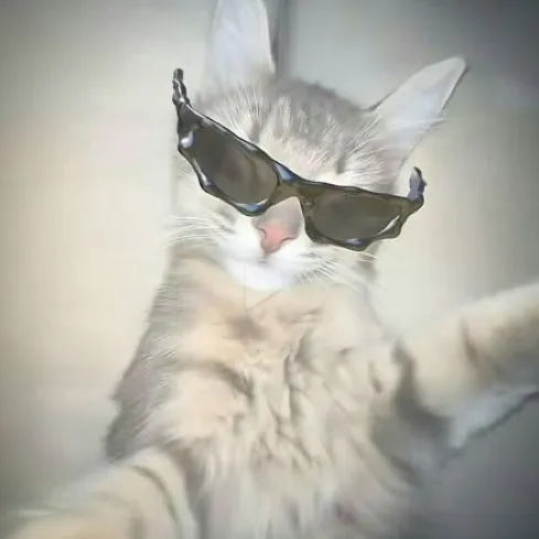 YOURFAVB🇮🇶😘