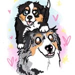 Yuki + Butters | Priscilla | Australian Shepherds | Australia 🇦🇺