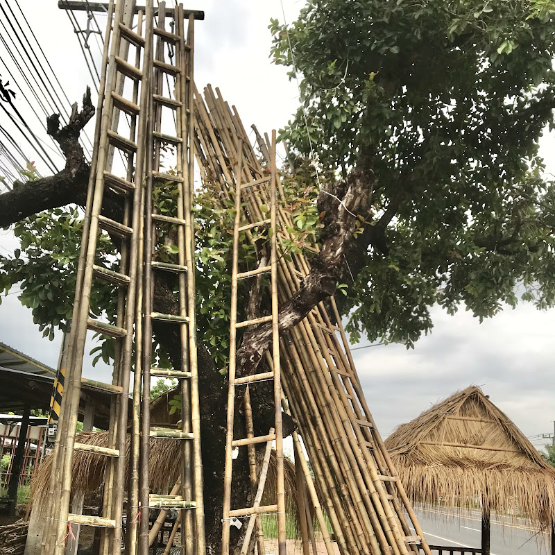 พ่อตรี เฟอร์นิเจอร์ไม้ไผ่