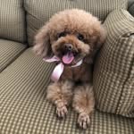 리그램 계정입니다