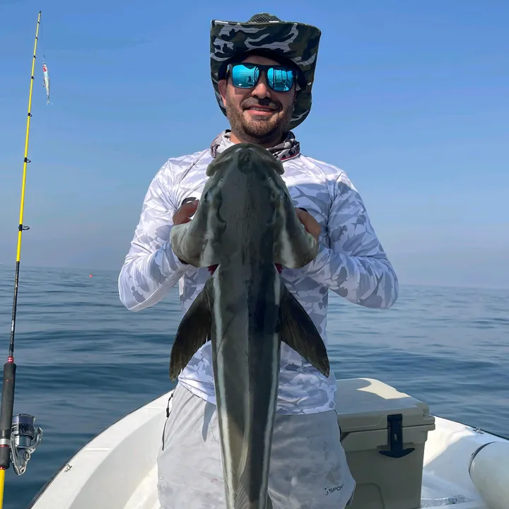 Iffi_angler
