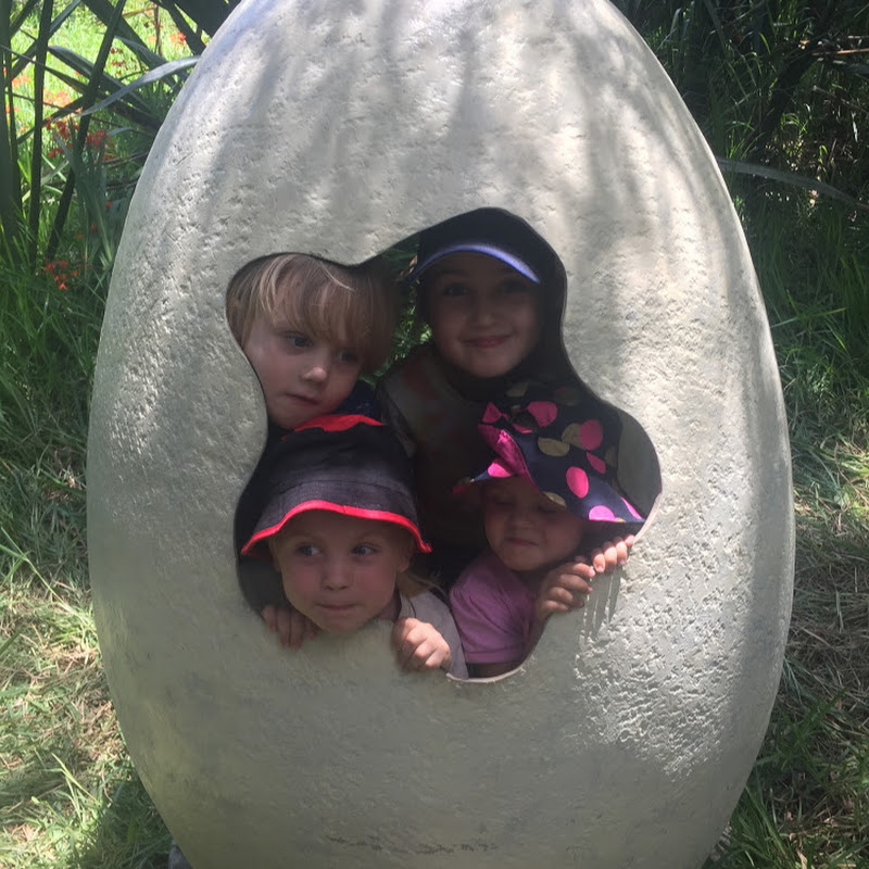 Feather'nDown Homestead