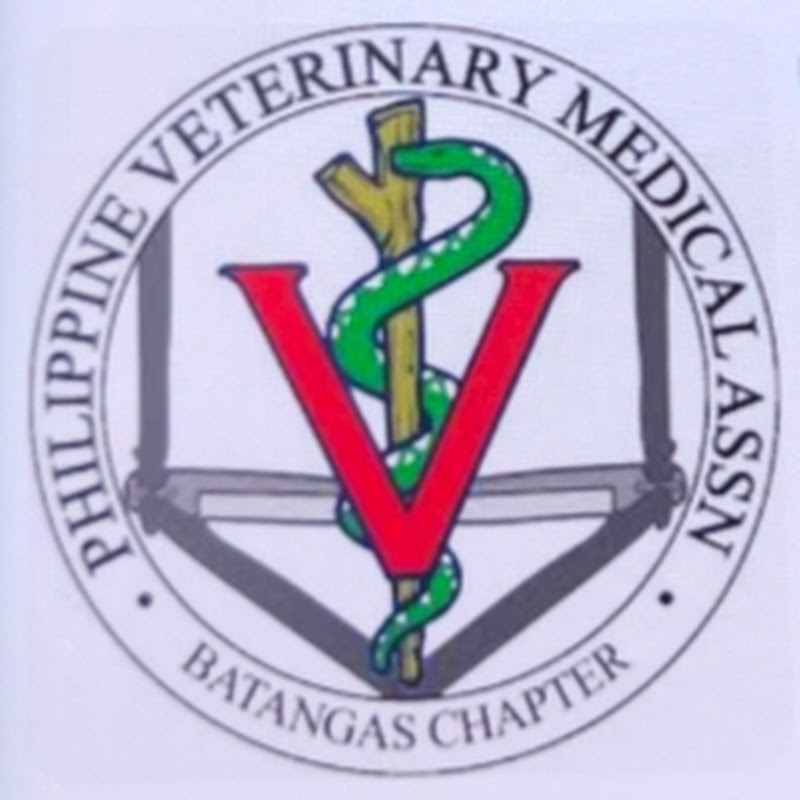 OKIDOKIDOK DVM