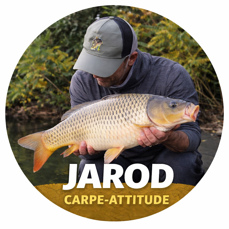 Jarod-carpe-attitude.