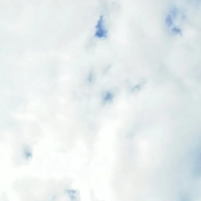 ronny_mp4