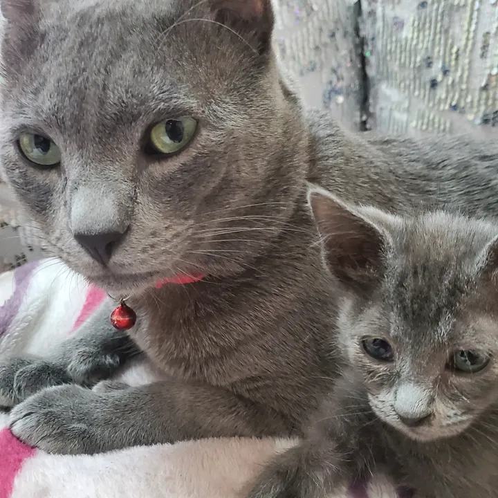 Roselyn and Dindin Grey