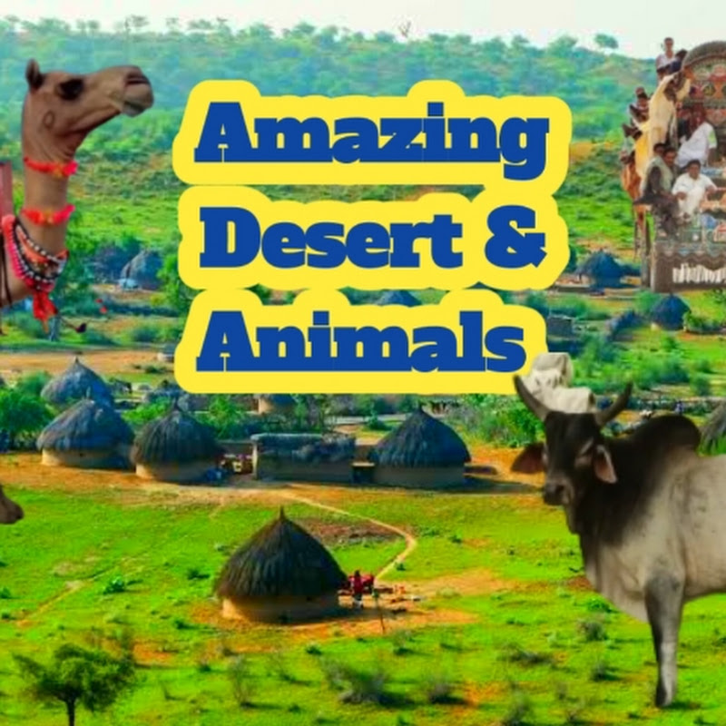 Amazing Desert & Animals 