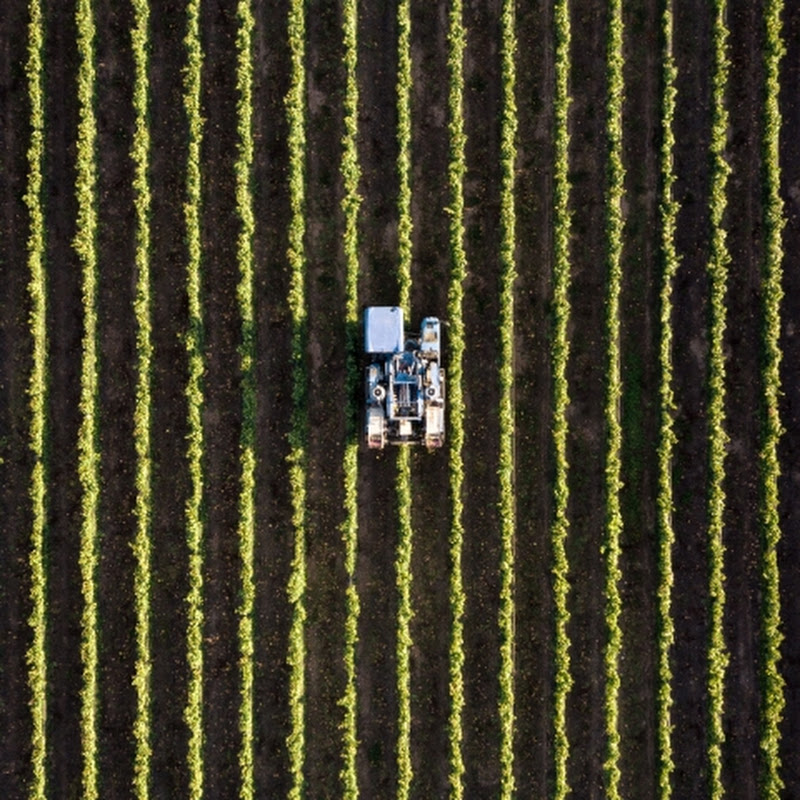 FARMING CULTURE