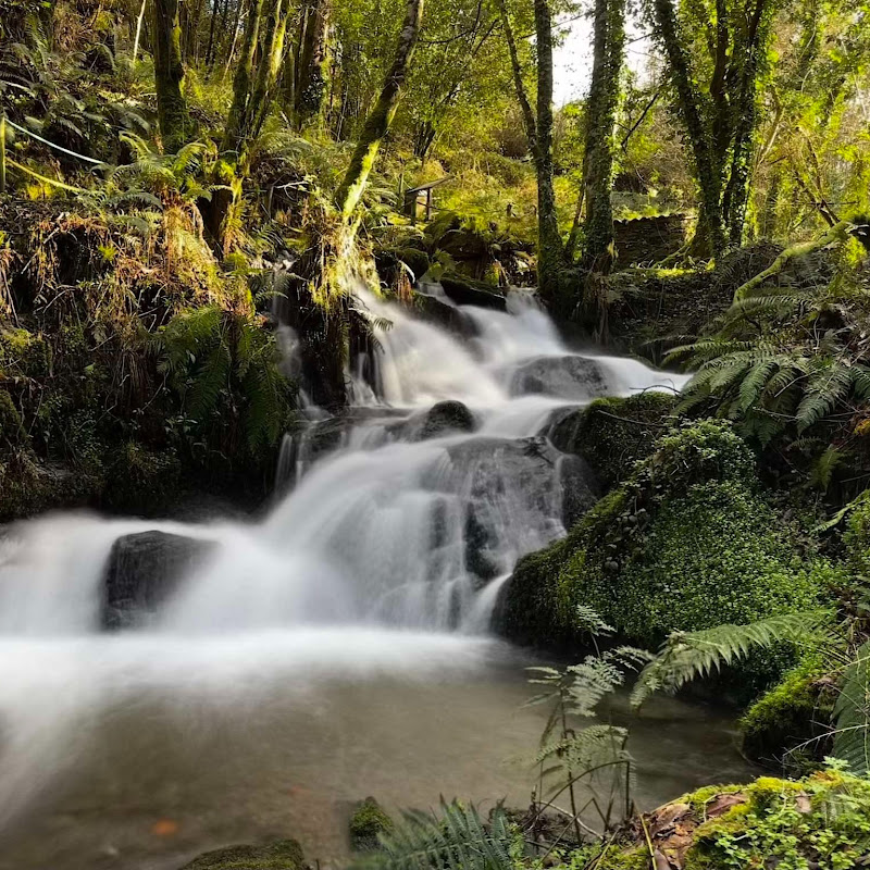 Healing Nature Sounds
