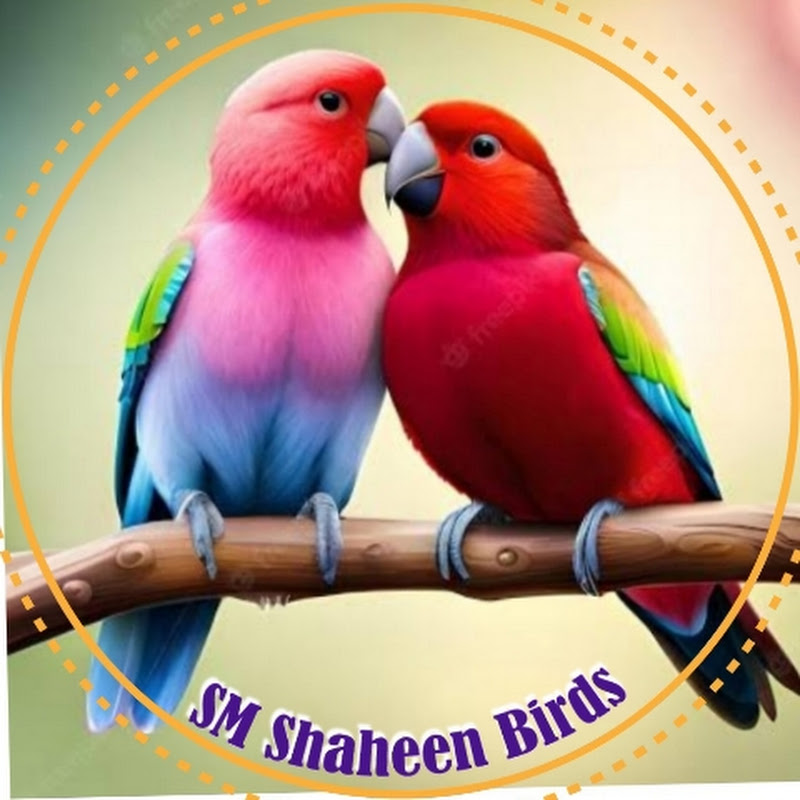 SM Shaheen Birds