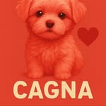 lovepets