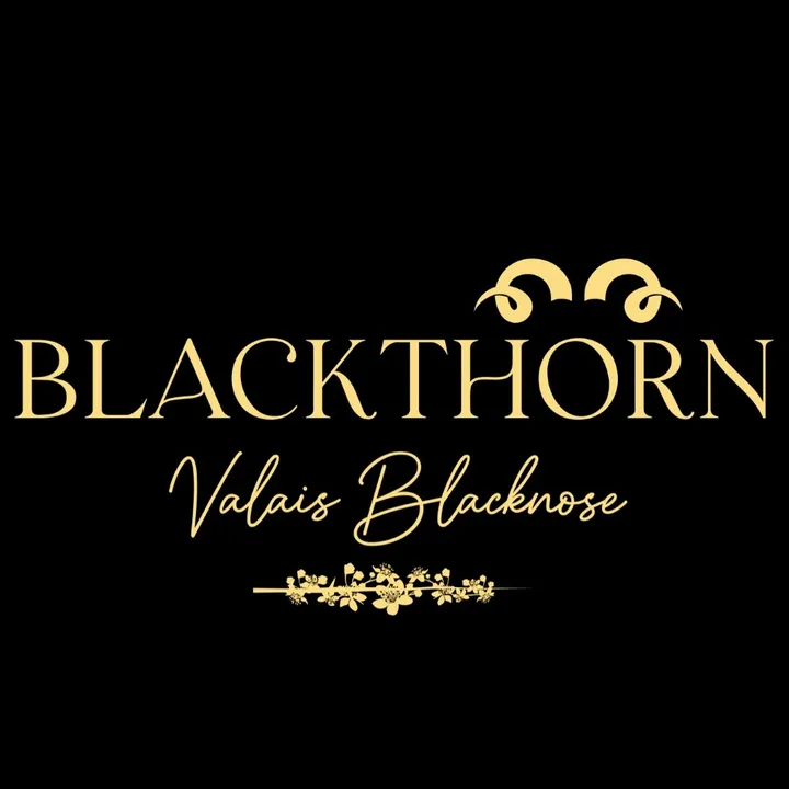 Blackthorn, Valais Blacknose