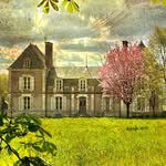 Our French Chateau