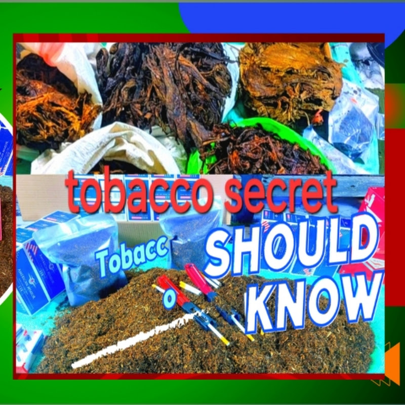 اسرار التبغtobacco secret