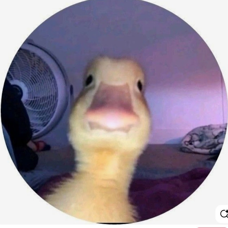 Patitos por siempre