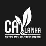 Cay La Nha | Aquascaper