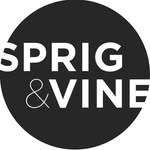 Vidushi | Sprig & Vine