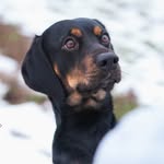 𝙻𝚒𝚏𝚎 𝙾𝚏 𝙼𝚊𝚡 🇧🇪