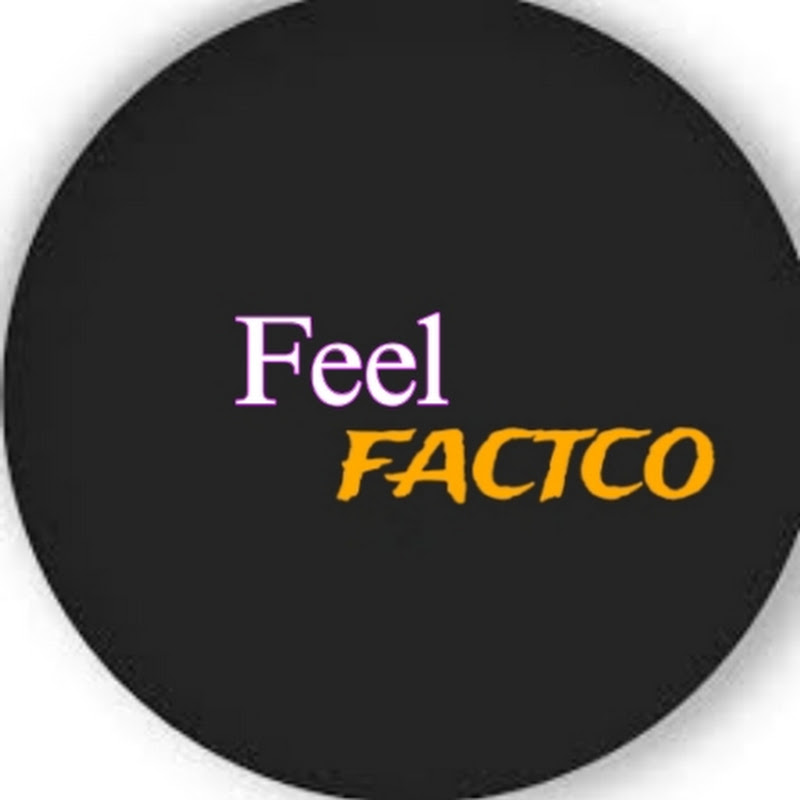 Feel Factco