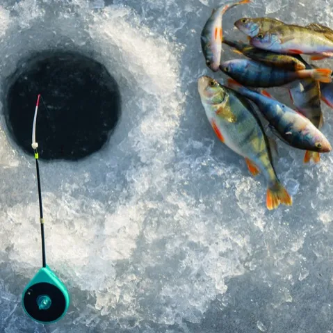 Fishing ICE