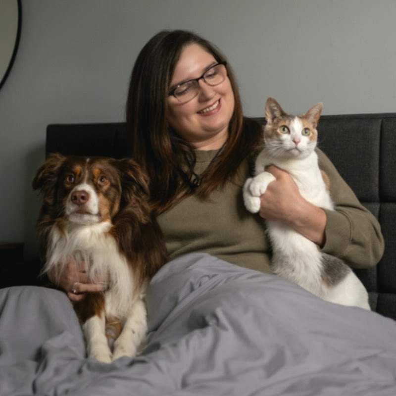 Carly T | Cozy Home + Pet Creator