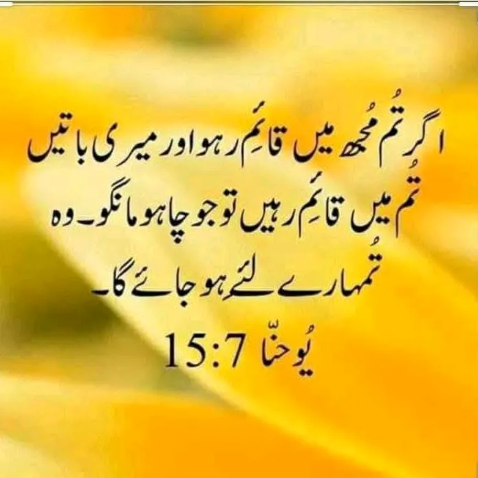 Kamran Shahzaib 🌧️