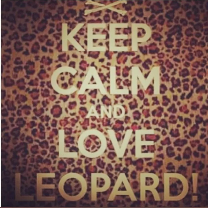 🪩🍸🫧🐆