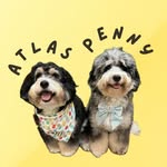 💚 Atlas & Penny 🩷
