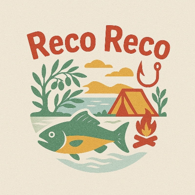 🐬 Reco Reco 🐬