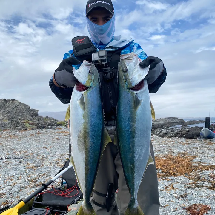 Dago valenzuela pesca en chile