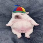 tino ˑ 𖥻 ִ ۫ 🐁🌷