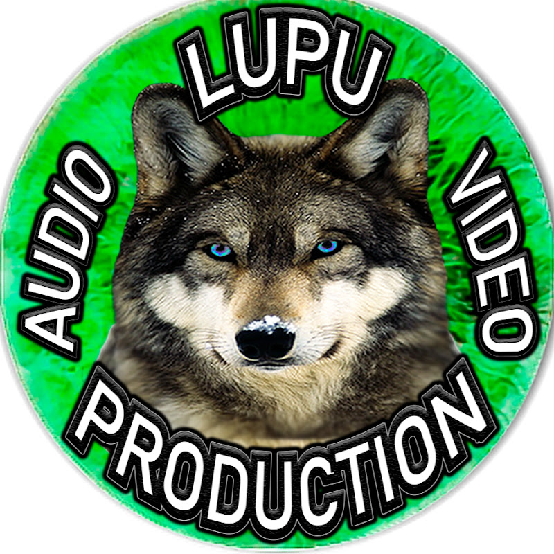 Lupu Audio Video Petrecere