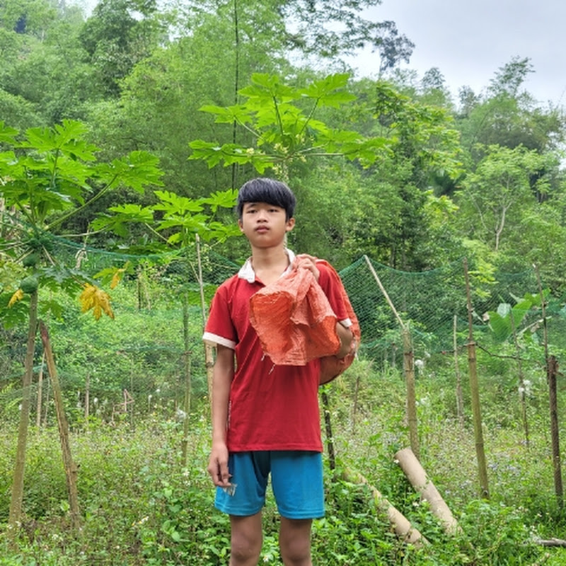 wandering boy