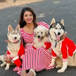  त्रिशा डिंपल व्येगस 🚩